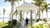 hyatt-ziva-los-cabos-all-inclusive-destination-wedding