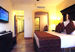 Ziva Suite